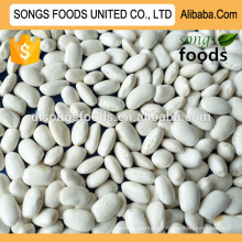 Dubai white kidney beans wholesaler